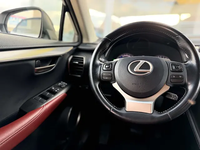 Lexus NX 300h 2017 on the forecourt of the Raf Cars showroom in Ninove-Outer, photo 24